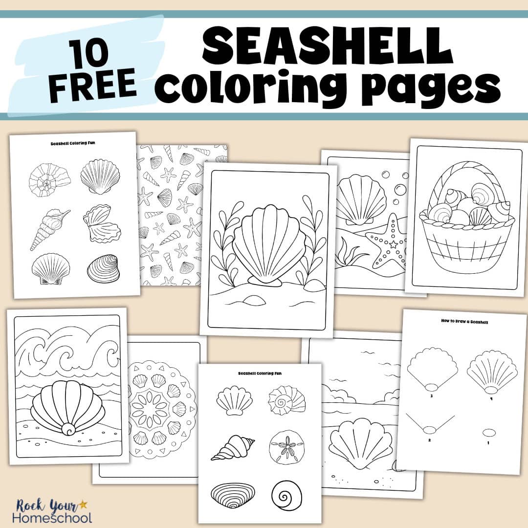 10 examples of free printable seashell coloring pages.