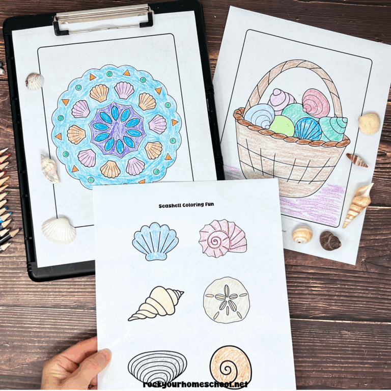 Woman holding examples of free printable seashell coloring pages.