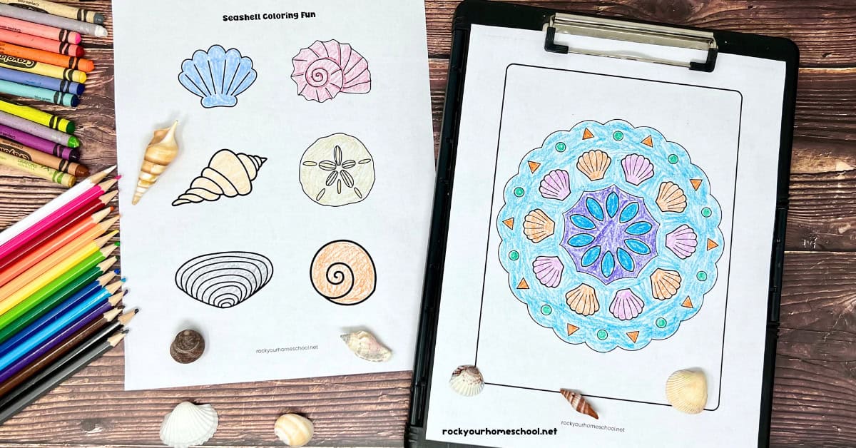2 examples of seashell coloring pages with shells and shell mandala.