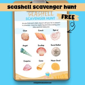 Seashell scavenger hunt on clipboard.