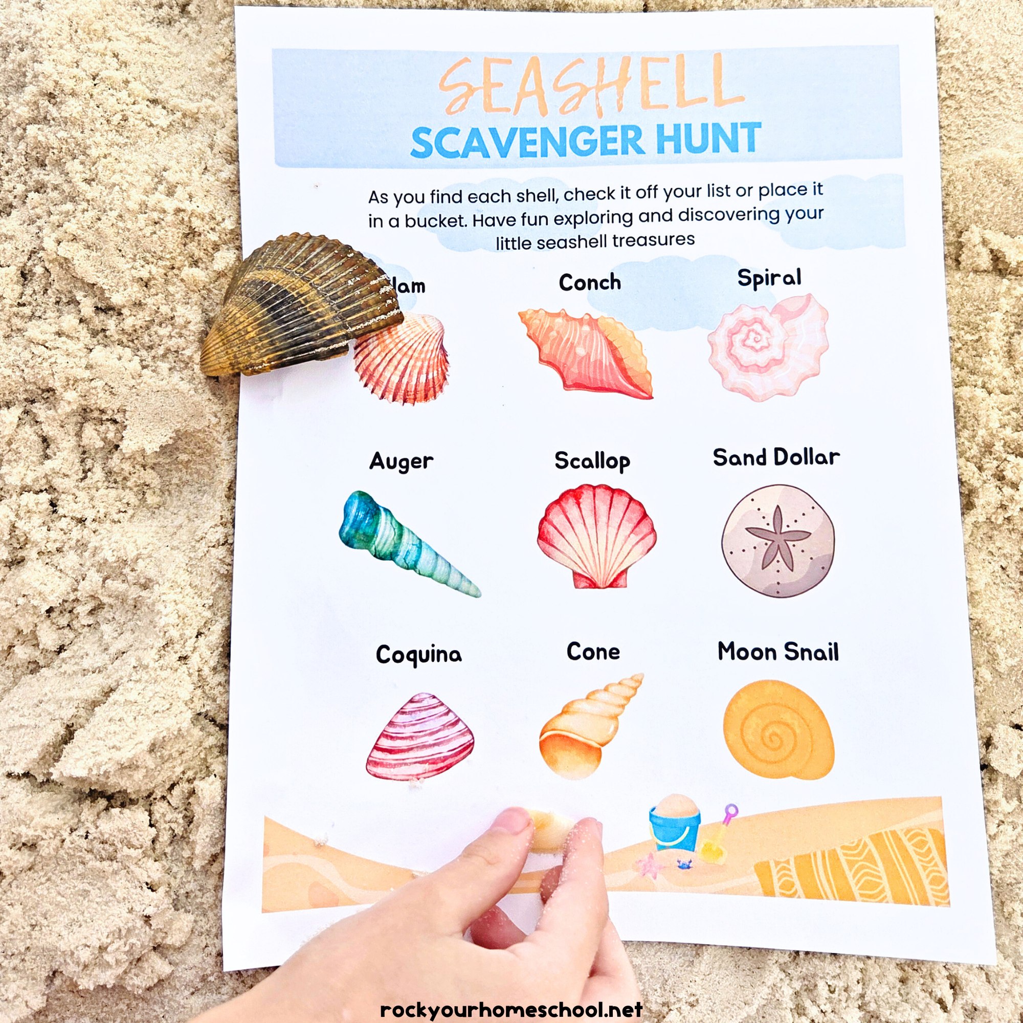 Example of seashell scavenger hunt on sand with child holding shells.
