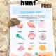 Example of seashell scavenger hunt on sand with child holding shells.