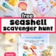 Shells on seashell scavenger hunt on the sand and with person holding the activity at the beach.