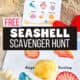 Shells on seashell scavenger hunt on sand and example on beach with sand castles