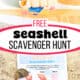 Shells on seashell scavenger hunt on sand and example on beach with sand castles.