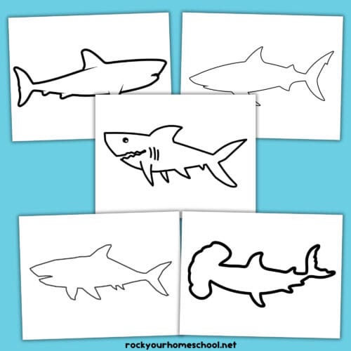5 free printable shark outline templates.