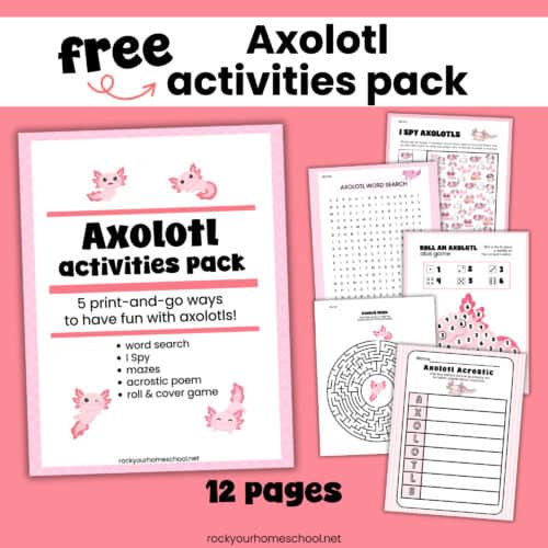 Axolotl activities pack cover with I Spy, word search, roll and cover game, maze, and acrostic poem.