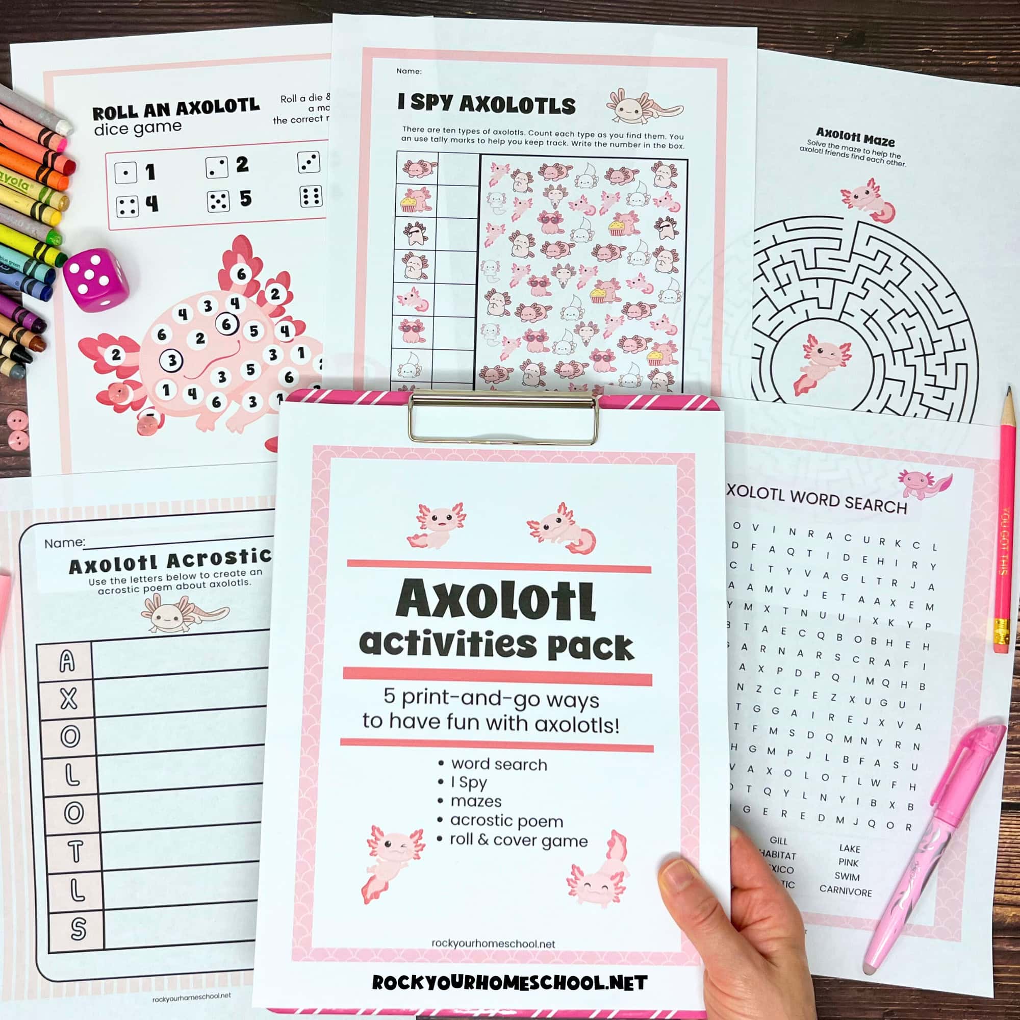 Woman holding clipboard with Axolotl Activities Pack cover with word search, maze, I Spy, roll & cover game, and acrostic poem.