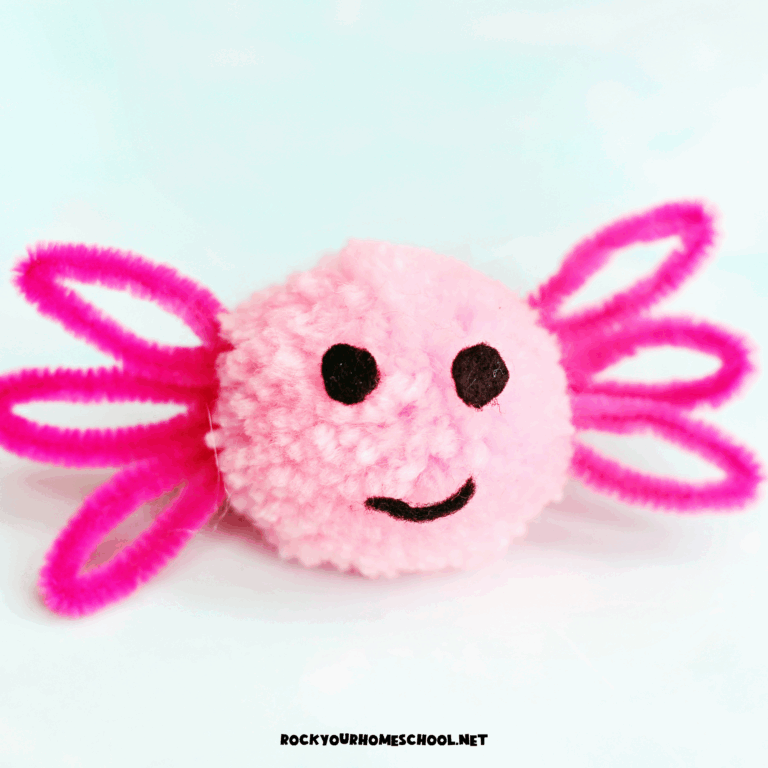 Example of easy axolotl craft for kids made with pink pom pom, pipe cleaners, and black felt.