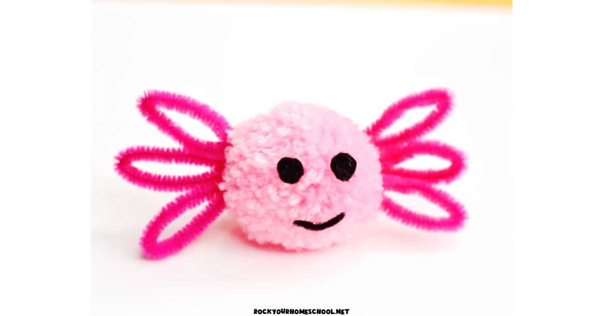 Example of pom pom axolotl craft for kids.