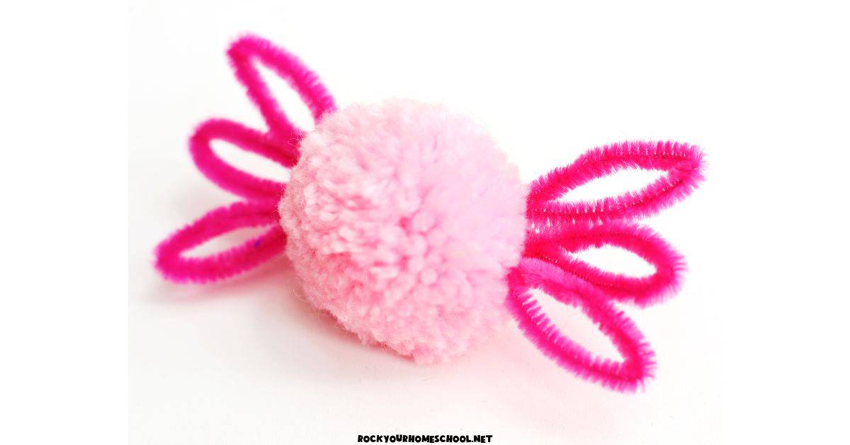 Pink pom pom with 6 pink pom pom cleaner loops.