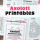 Woman holding clipboard with Axolotl Activities Pack cover with word search, maze, I Spy, roll & cover game, and acrostic poem.