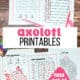Axolotl word search, acrostic poem, roll & cover game, I Spy, and maze.