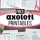 Axolotl word search, acrostic poem, roll & cover game, I Spy, and maze.