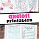 Axolotl word search, acrostic poem, roll & cover game, I Spy, and maze.