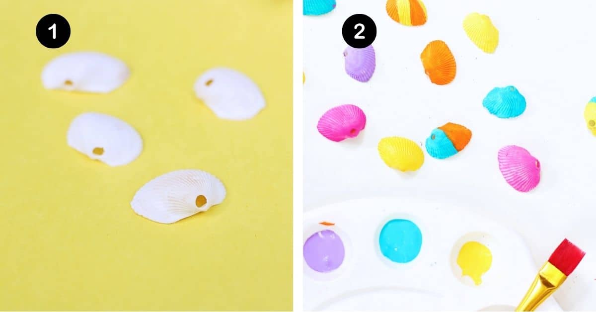 White seashells with holes and painted seashells with paint brush.