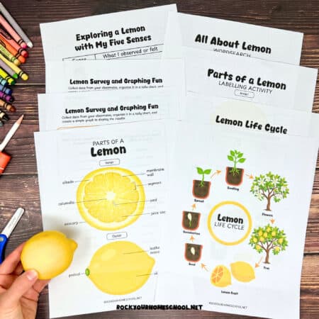 Examples of lemon printables with woman holding lemon.
