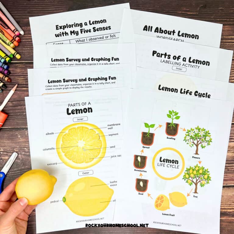 Examples of lemon printables with woman holding lemon.