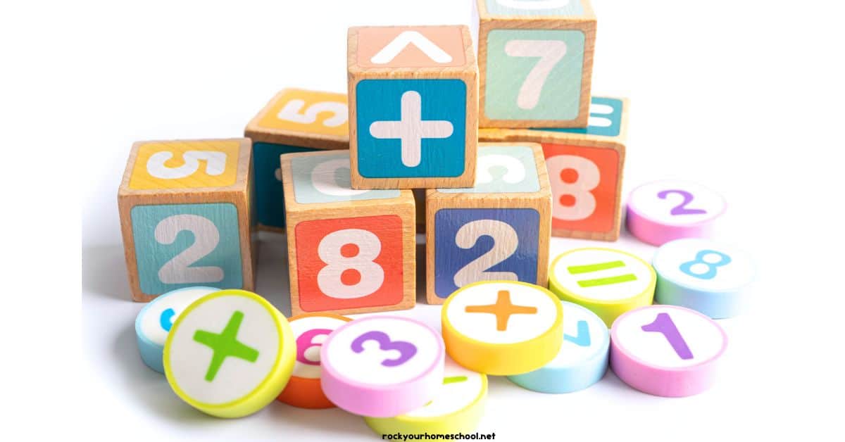 Square and round wood blocks with numbers.