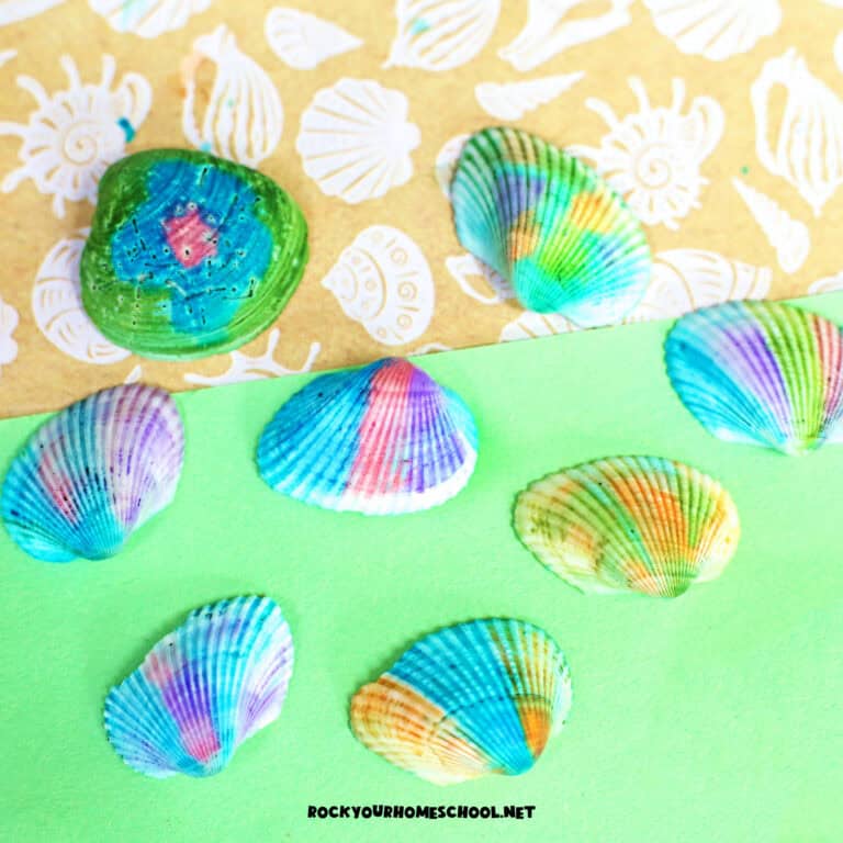 Examples of tie dye seashells in a variety of colors and patterns.