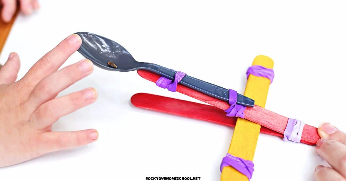 Child using watermelon seed catapult made out of popsicle sticks and purple rubber bands.
