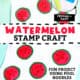 Pool noodle, and paint in red, black, and green and watermelon stamp craft examples.