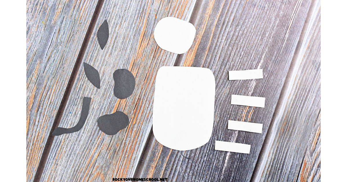 White and black construction paper cut into cow shapes.
