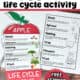 Color example of apple life cycle printable activity for science foldable with black-and-white version, crayons, glue stick, and crayons.
