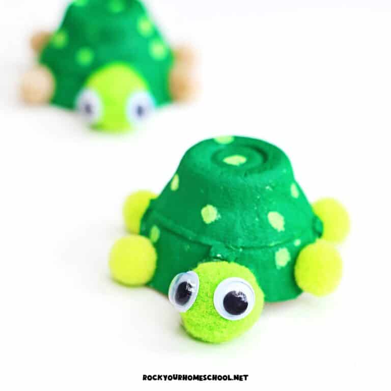 Two examples of easy egg carton turtle crafts with pom pom head and legs.