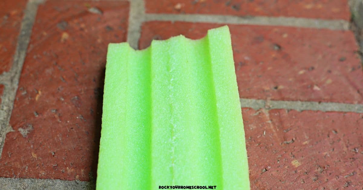 Green pool noodle cut in half.