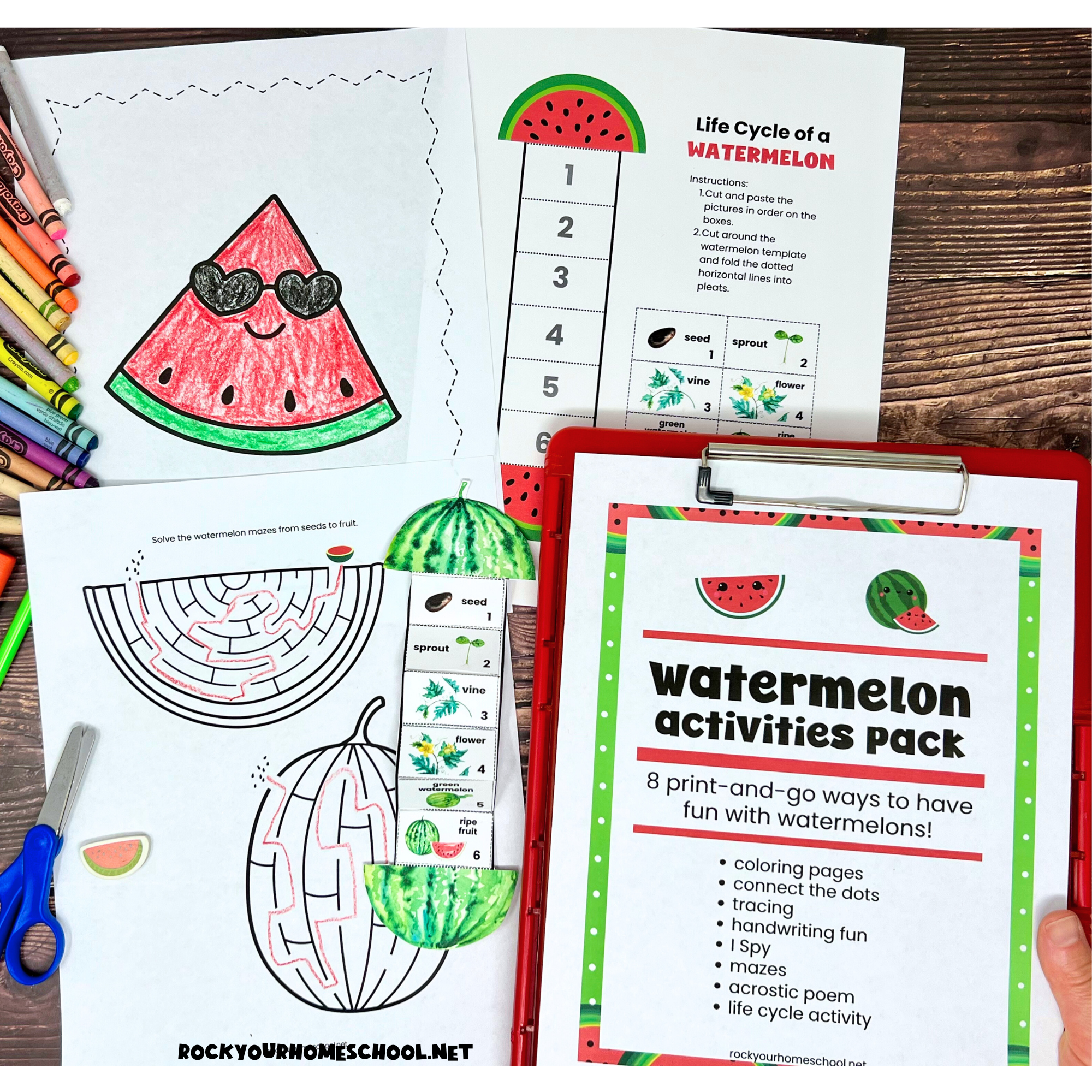 Woman holding red clipboard with watermelon activities pack cover with coloring page, life cycle of a watermelon activity, mazes, and more.