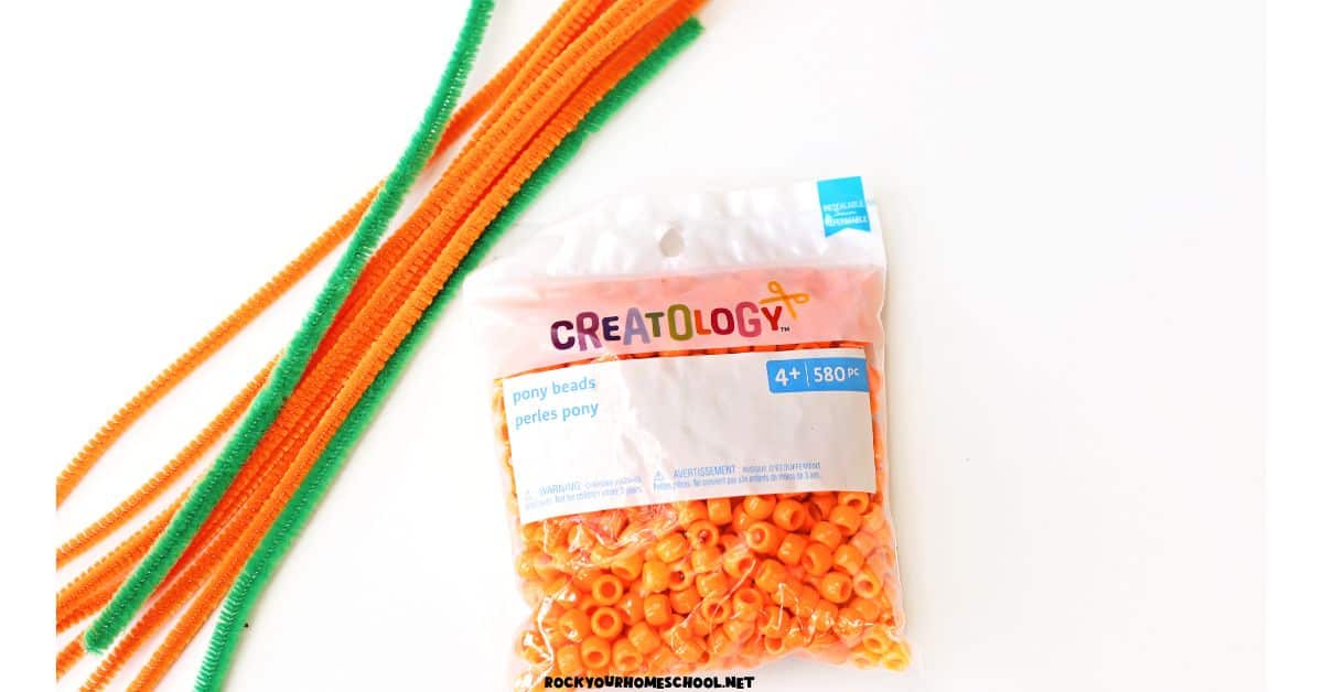 Green and orange pipe cleaners and bag of orange pony beads.