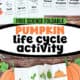 Examples of free printable pumpkin life cycle activity in color and black-and-white versions for a fun science foldable.