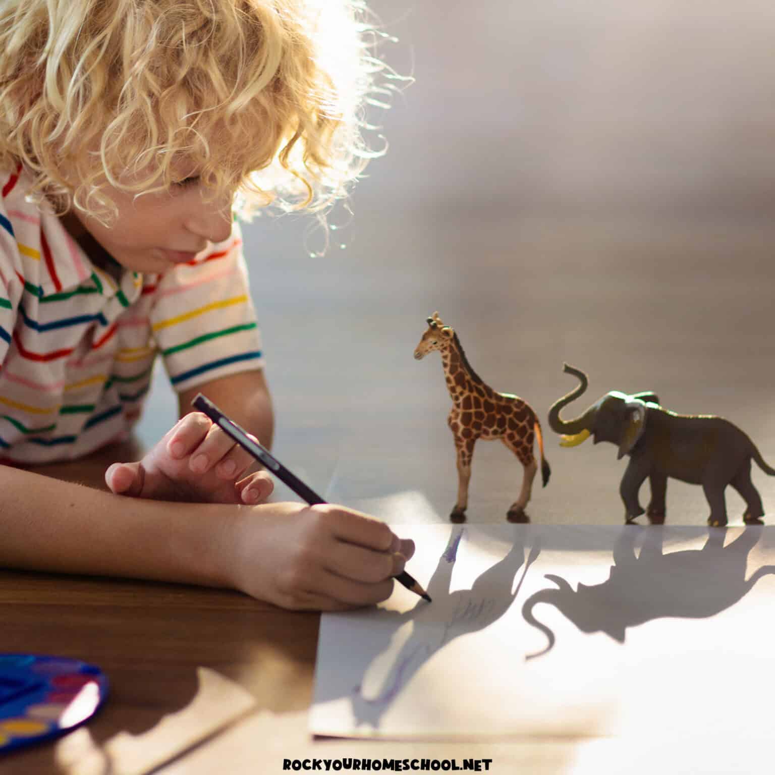 Young boy using pencil to trace shadow animals for example of quiet time for kids activity.
