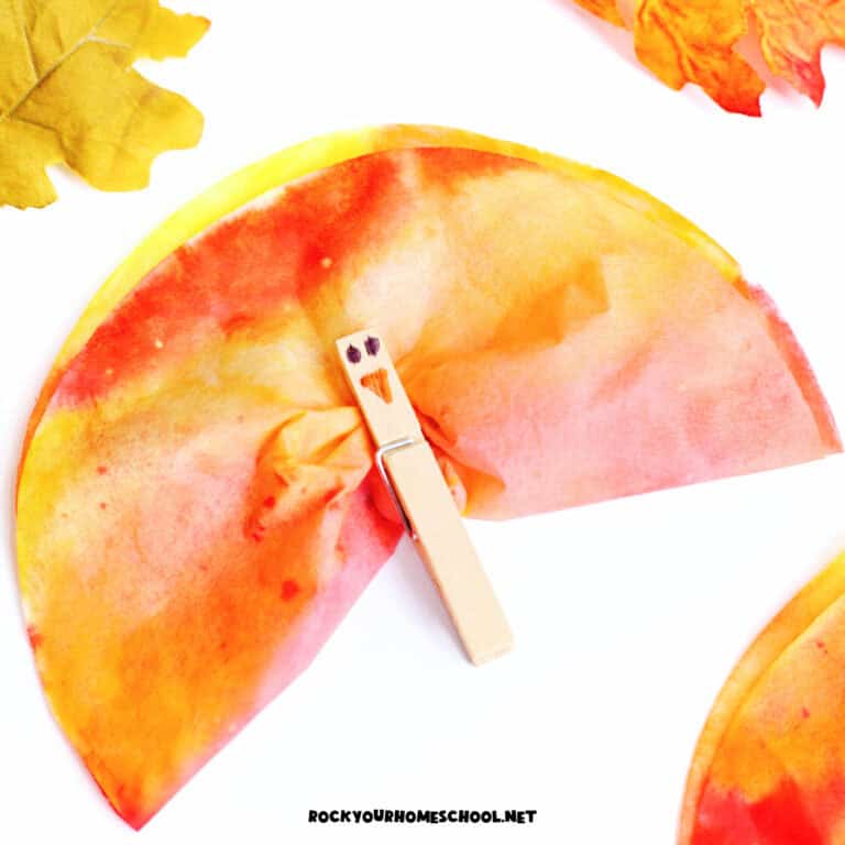 Example of frugal and colorful coffee filter turkey craft with wood clothespin.