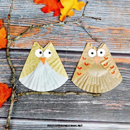 Two examples of cupcake liner owl crafts for kids.
