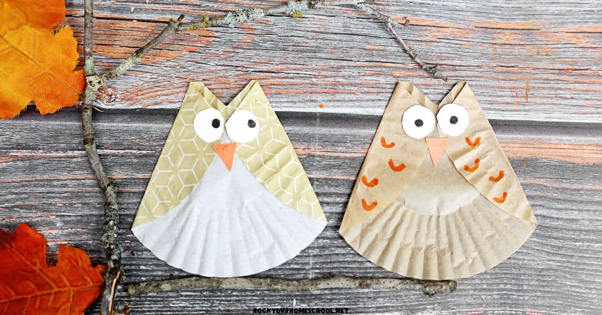 Two examples of mess-free cupcake liner owls for kids craft.