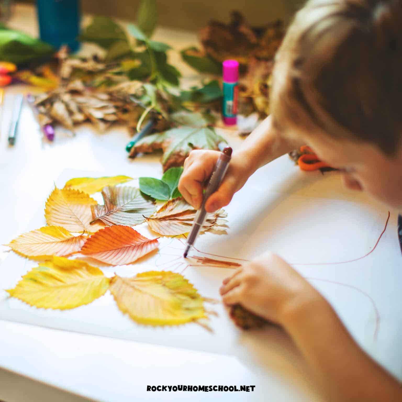 Child using brown marker to draw tree trunk and using leaves for fall craft.
