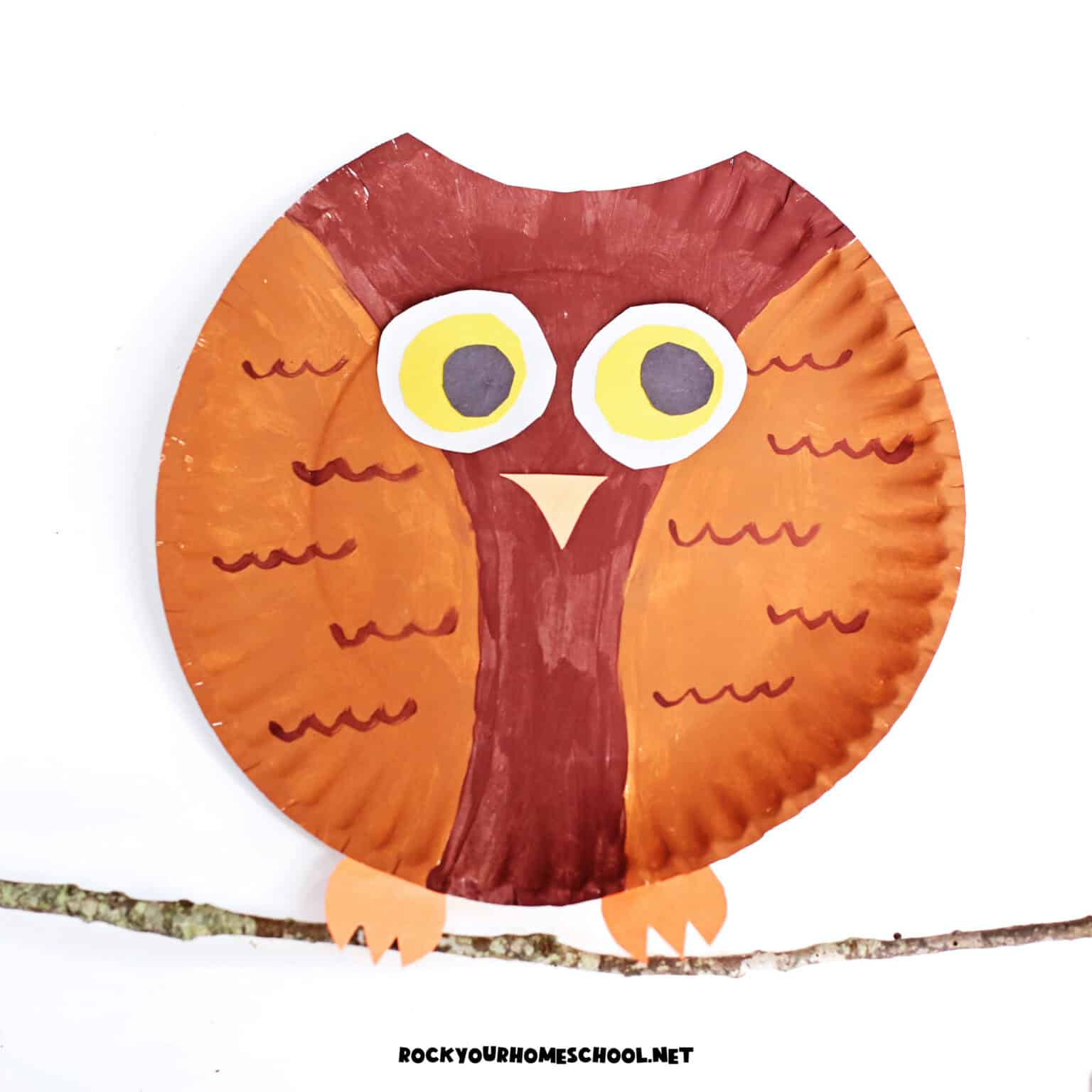 Example of paper plate owl craft for kids made with paint and construction paper.