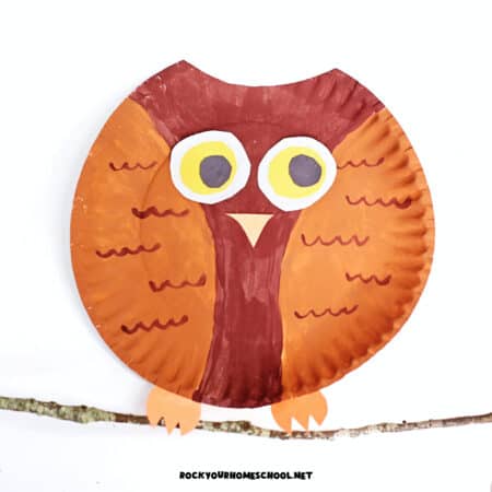 Example of paper plate owl craft for kids made with paint and construction paper.