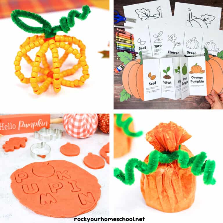 Four examples of fun pumpkin activities for kids including pipe cleaner pumpkin, pumpkin life cycle foldable activity, pumpkin playdough , and toilet paper roll pumpkin craft.