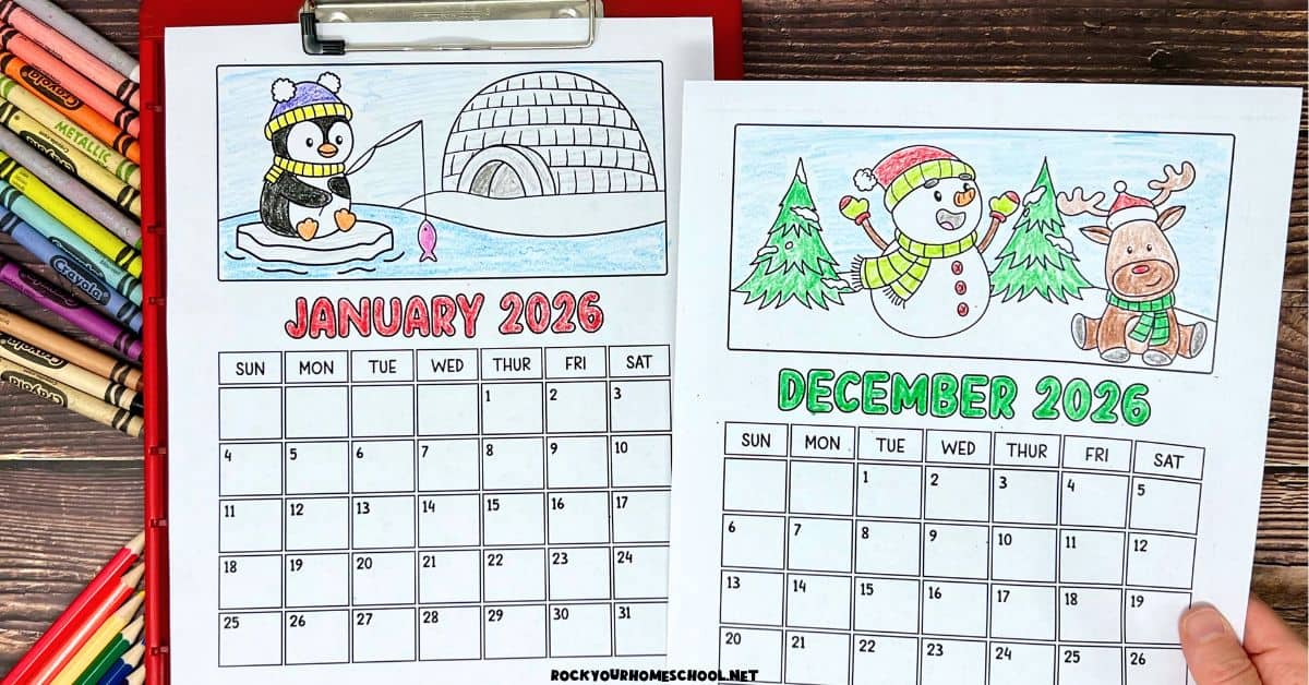 Woman holding examples of January and December from 2026 coloring calendar set.