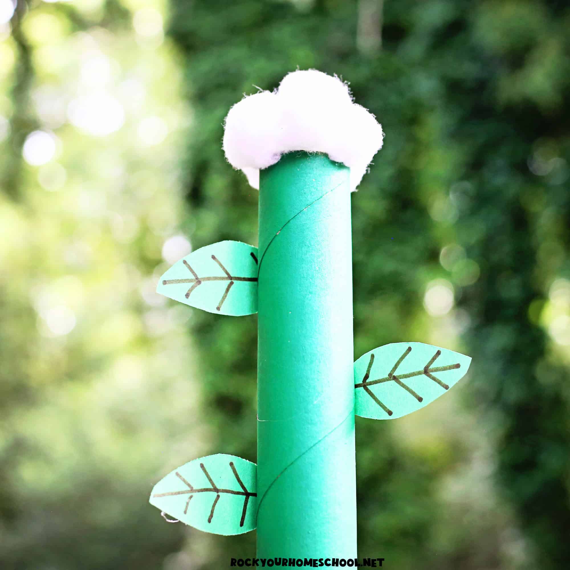 Example of easy Jack and the Beanstalk craft with cotton ball top.