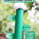 Example of easy Jack and the Beanstalk craft with cotton ball top.