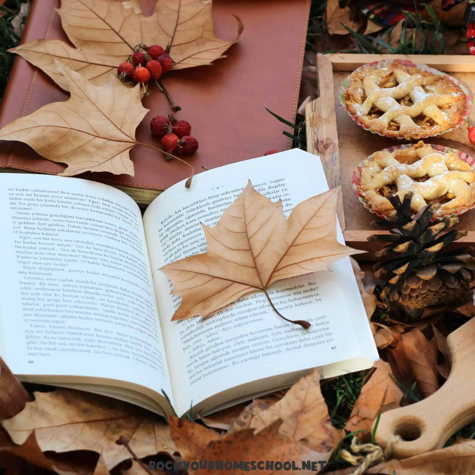 Display of book with leaves, pinecones, small pies, jar of cookies to feature The Fun Days Made Simple Way.