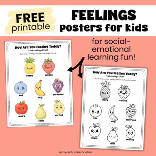 Free printable fruit-themed feelings posters for kids.