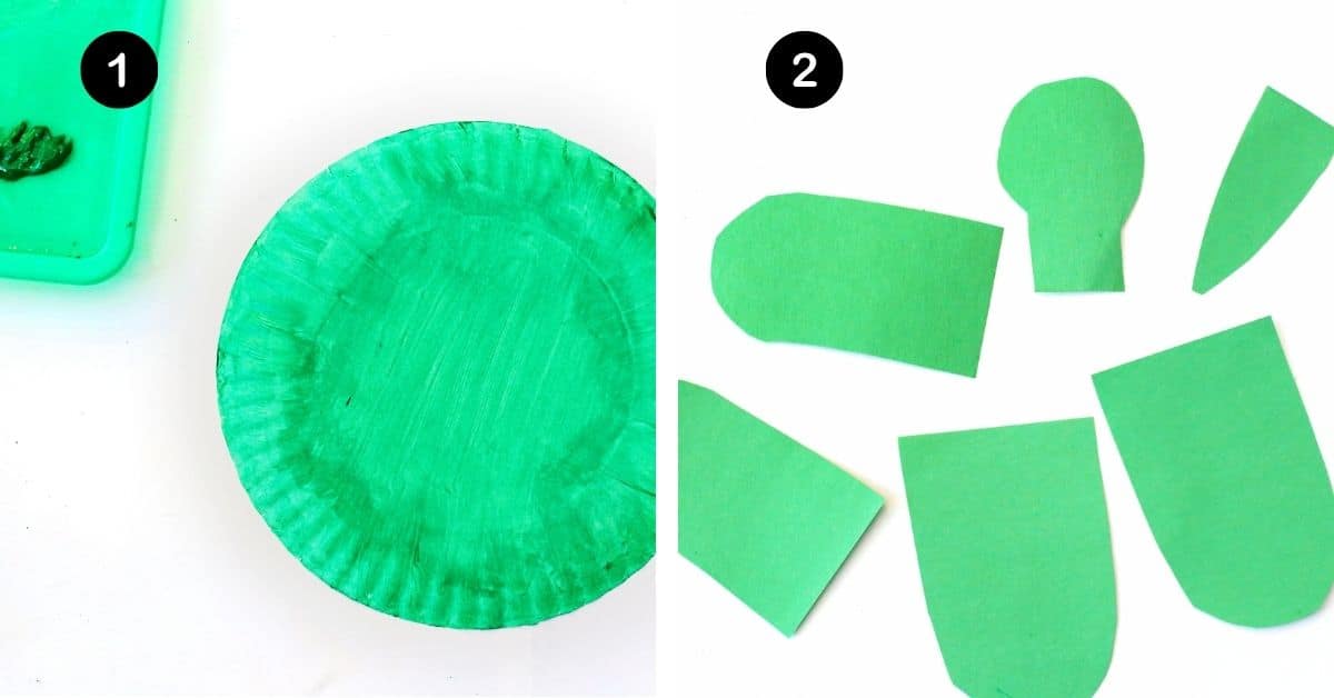 Paper plate painted green and green construction paper pieces for turtle legs, face, and tail.