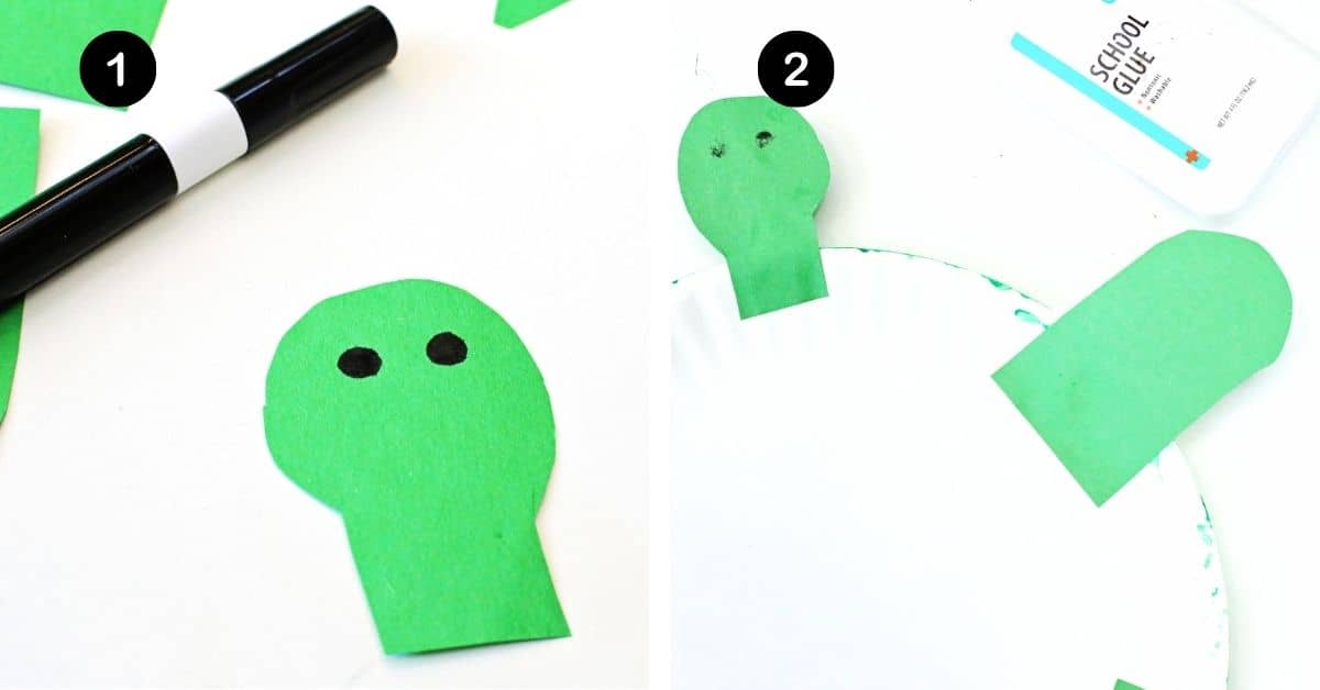 Green paper turtle face and glued to back of paper plate with arm.