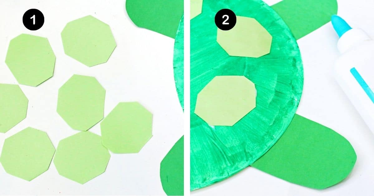 Light green octagon paper pieces glued to painted green paper plate for turtle shell.