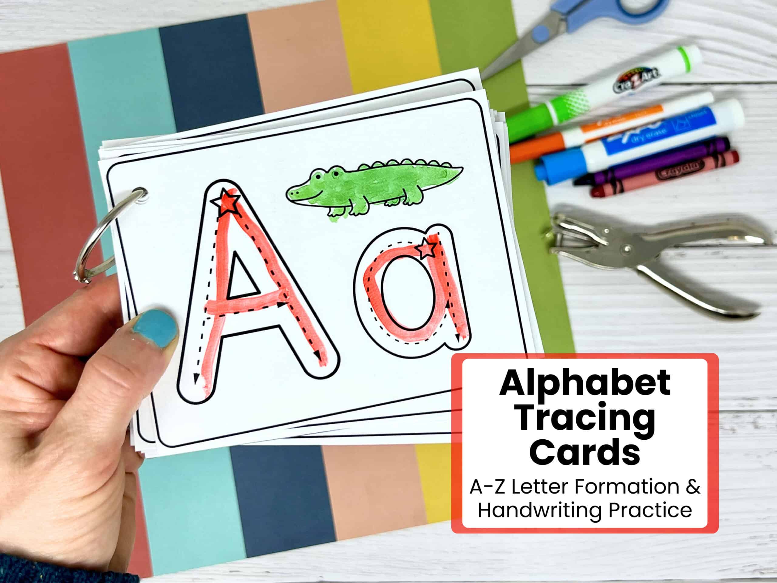 Woman holding printable alphabet tracing cards featuring Aa alligator.